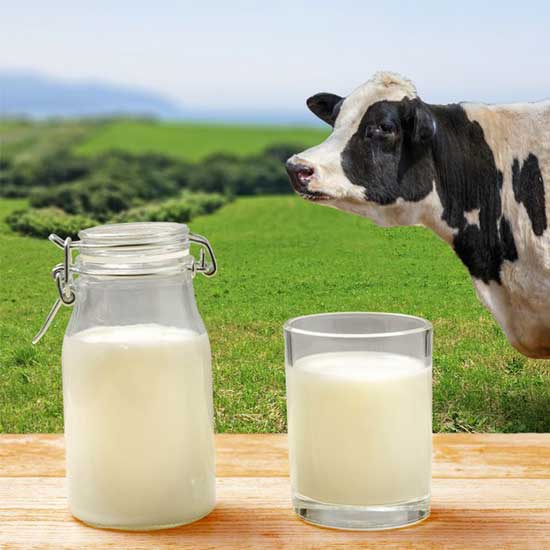 Pure Milk